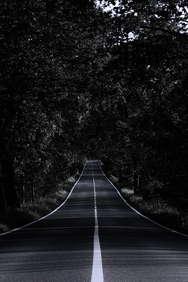 Под горку и в лес обои