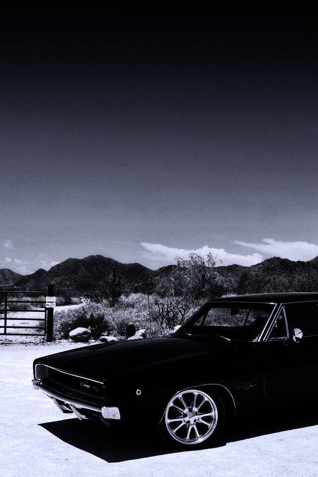 Мускулкар под палящим солнцем обои