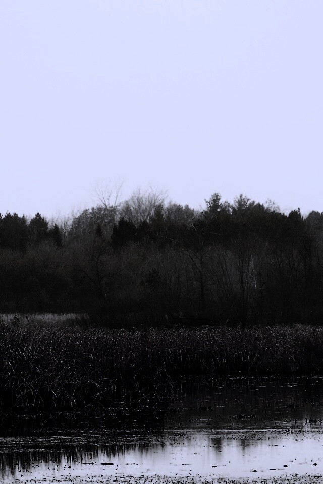 Живописные болота обои