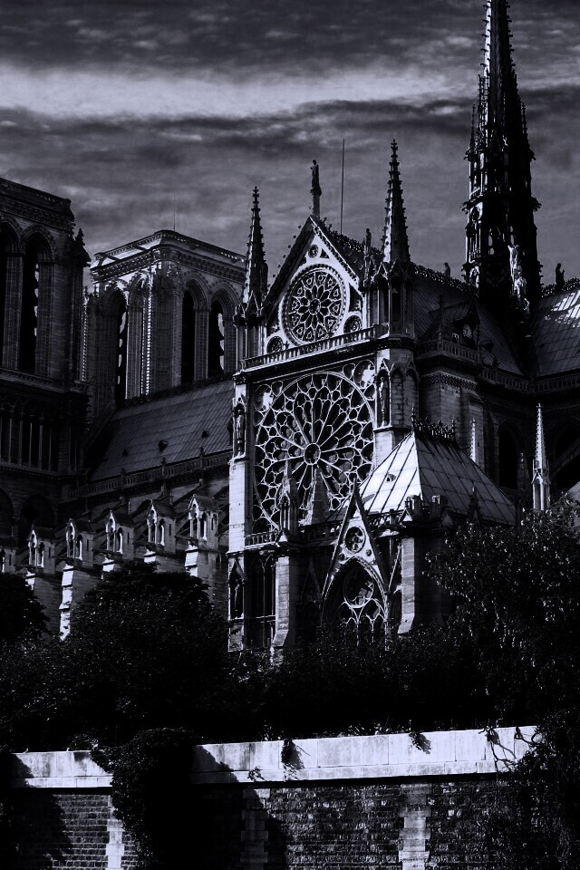 Собор парижской Богоматери обои