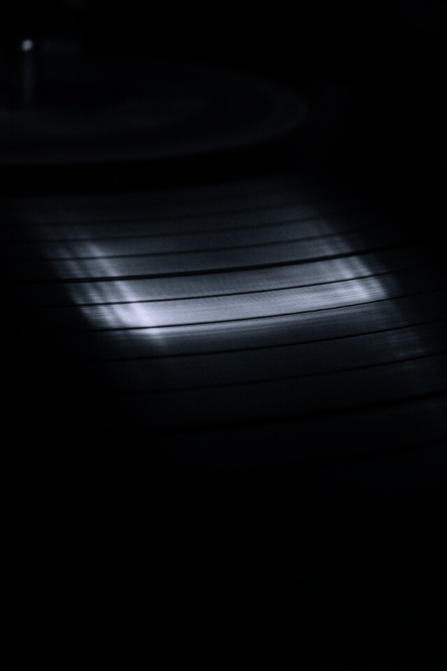 Пластинка обои