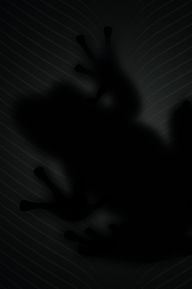 Силуэт лягушки просвечивает сквозь зеленый лист обои