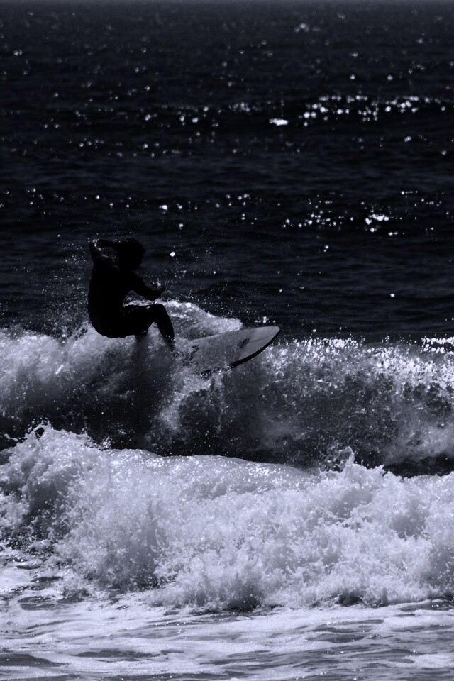 Сёрфенгист поймал волну обои