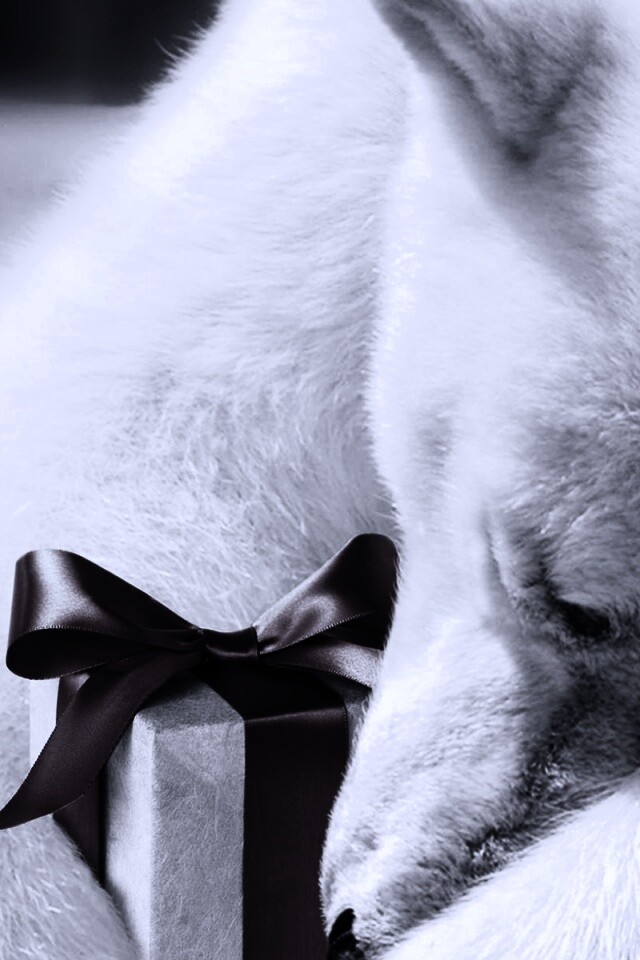 Белый мишка с подарком обои