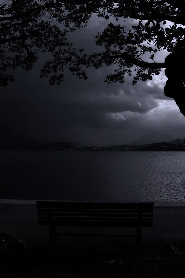 Скамейка на берегу обои