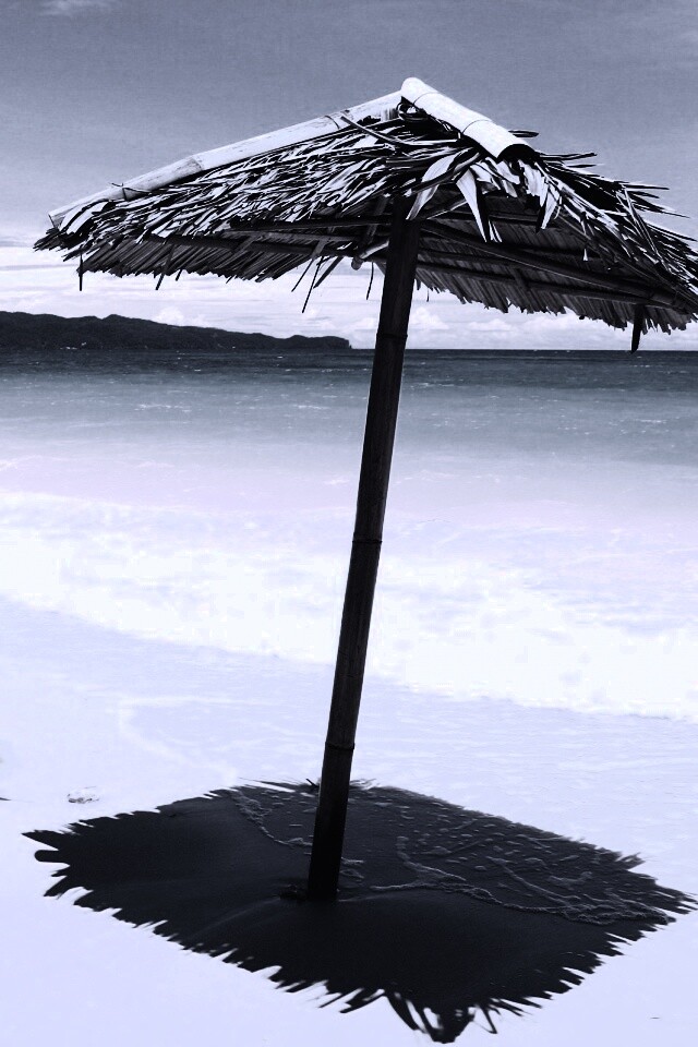 Тросниковый зонт обои