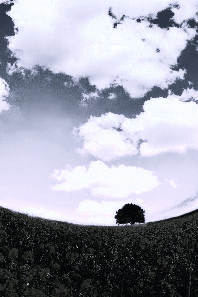 Искаженный мир обои