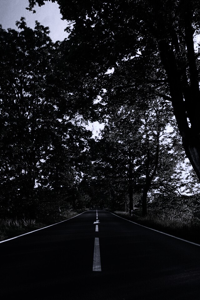 Прямая дорога обои