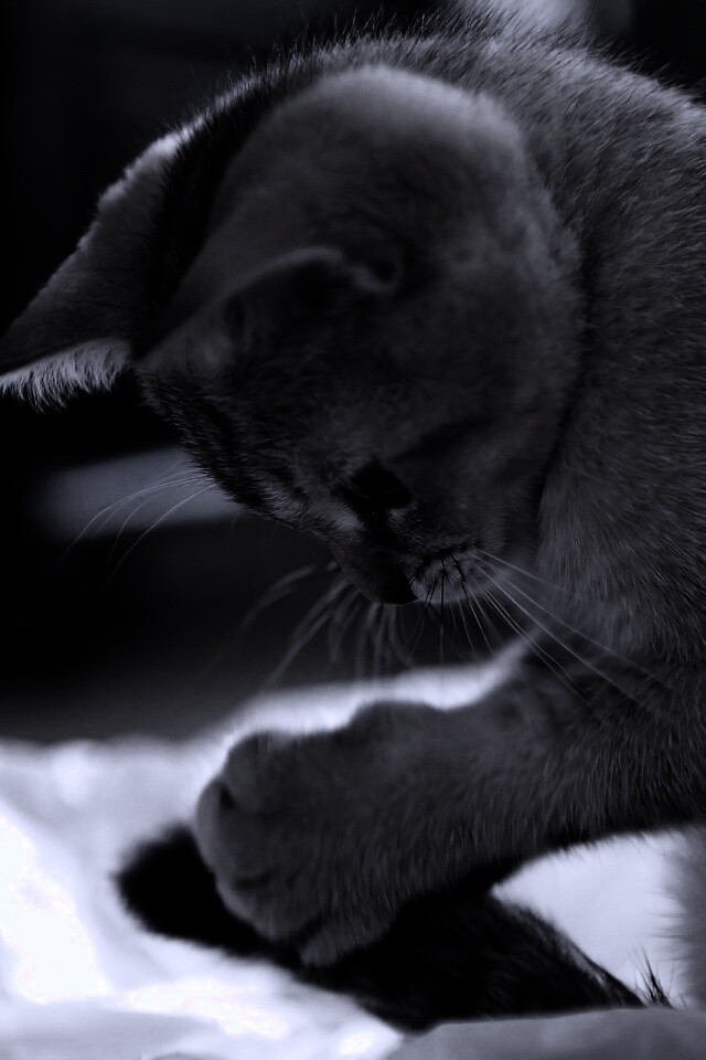 Маленький игруля обои