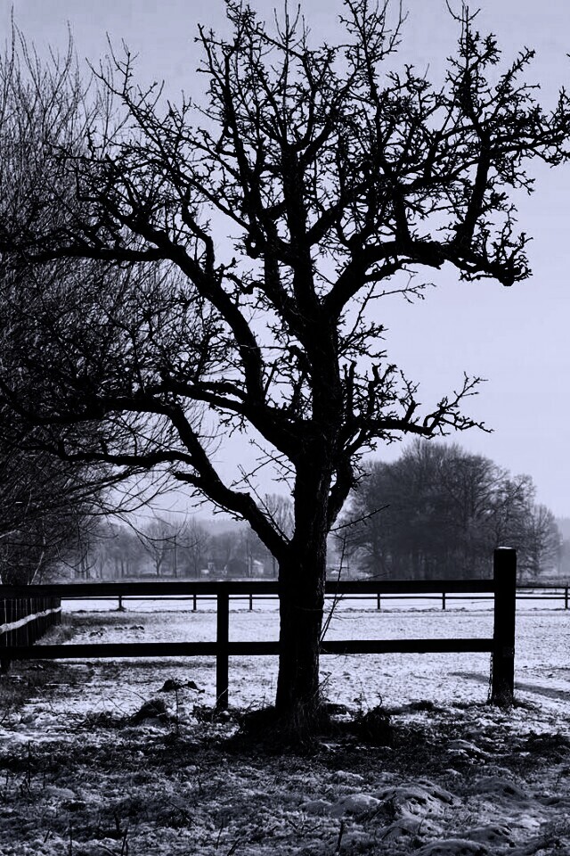 Зимний пейзаж обои