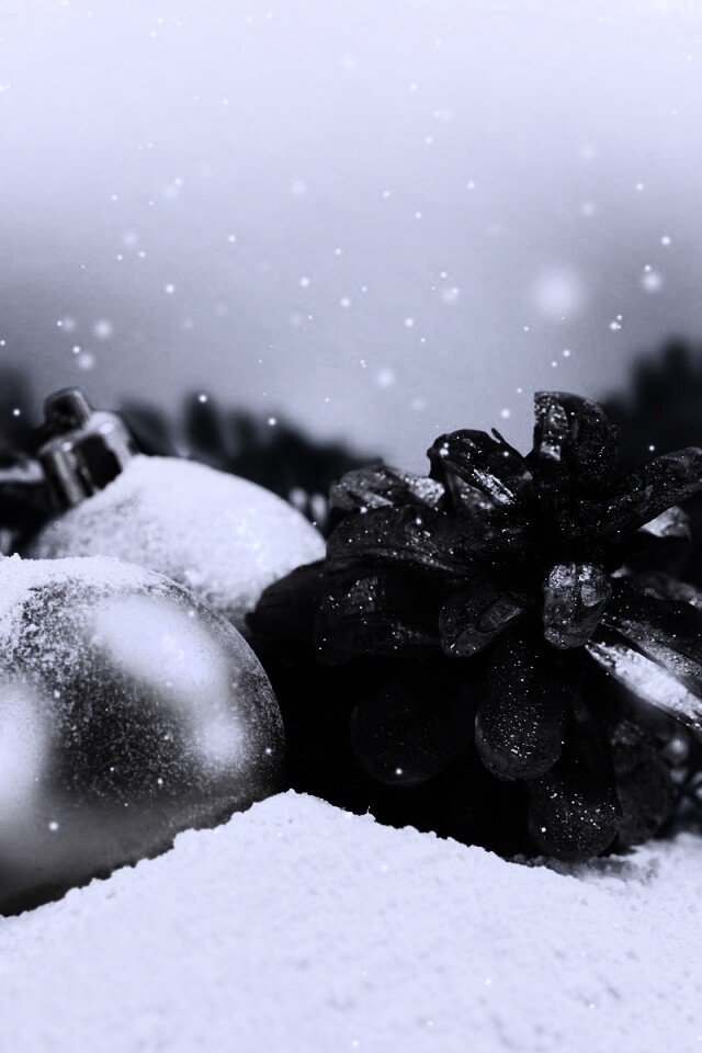 Новогодний натюрморт обои