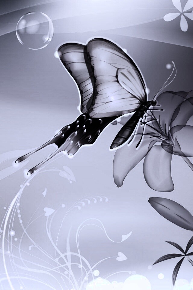 Сказочная бабочка обои