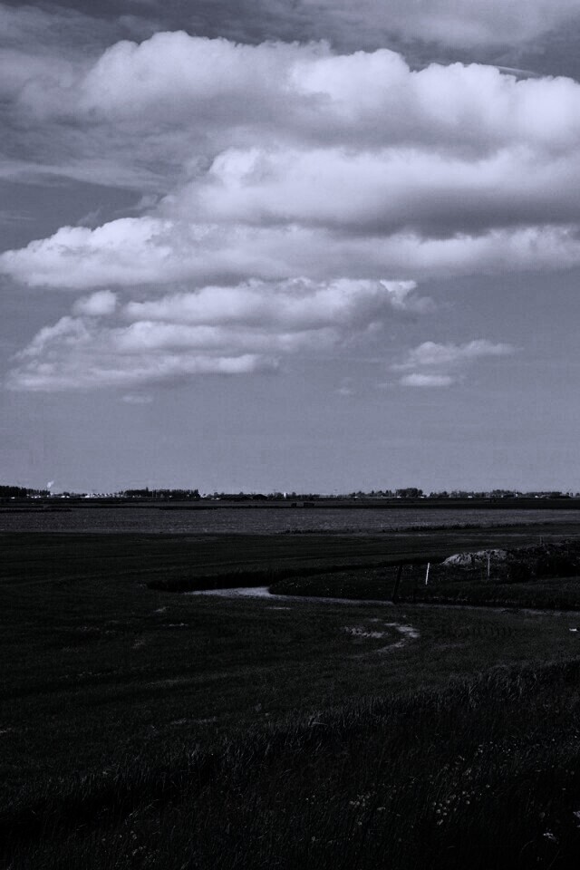 дом на лугу обои