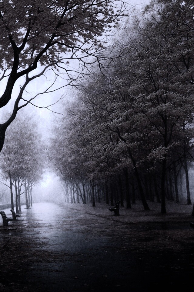 Дорога в осень обои