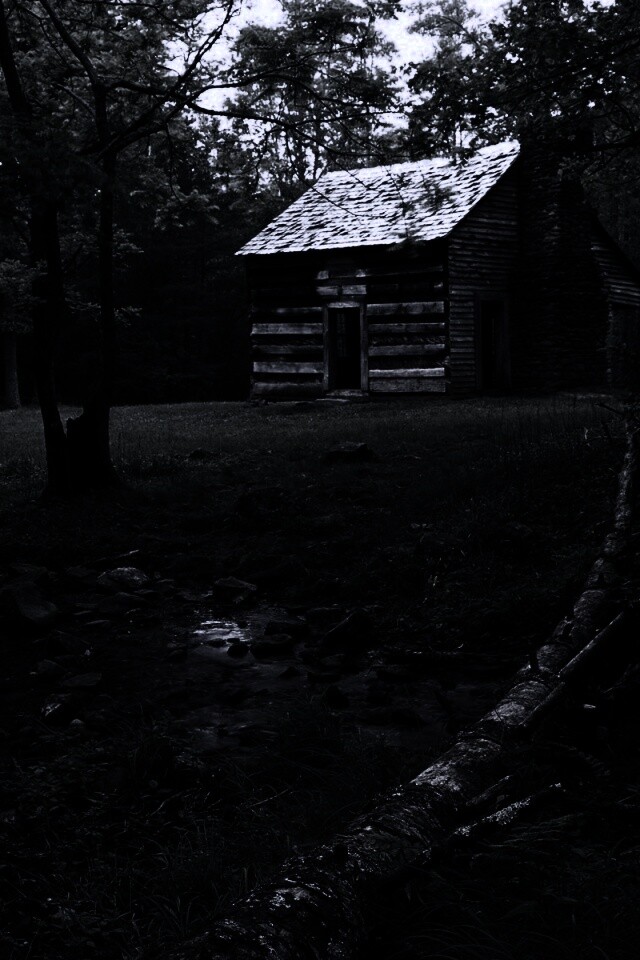 Домик в лесу обои