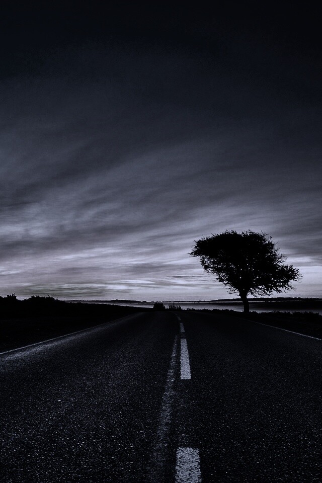 Дорога обои