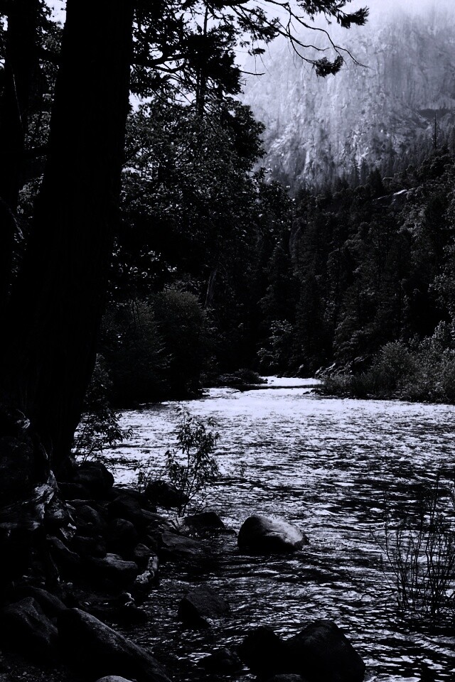 Национальный заповедник обои