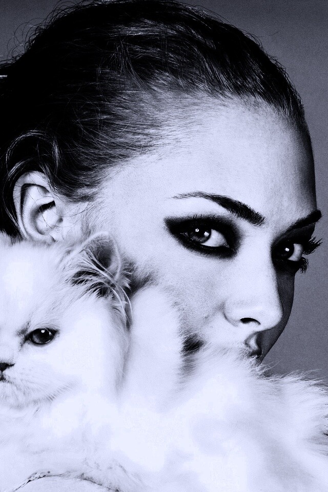 Девушка с кошкой обои