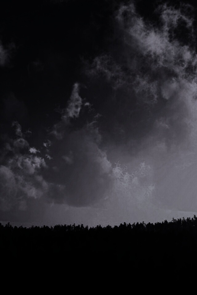 Закат над лесом обои