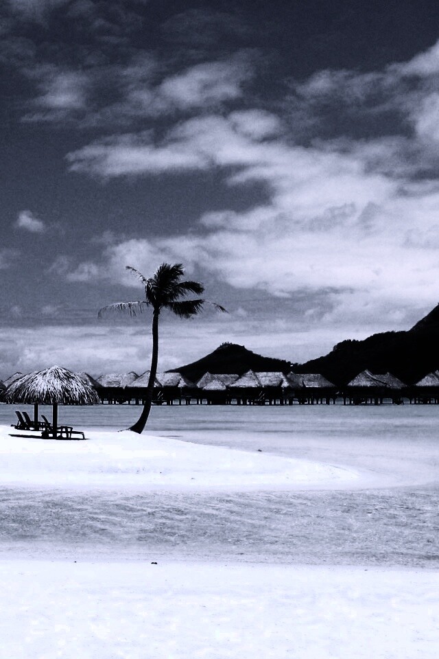 Побережье Бора-бора обои