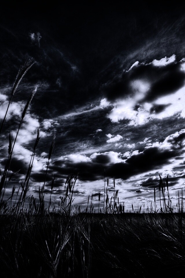 HDR Поле обои