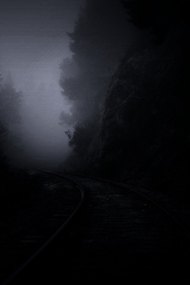 Рельсы уходя в туман обои