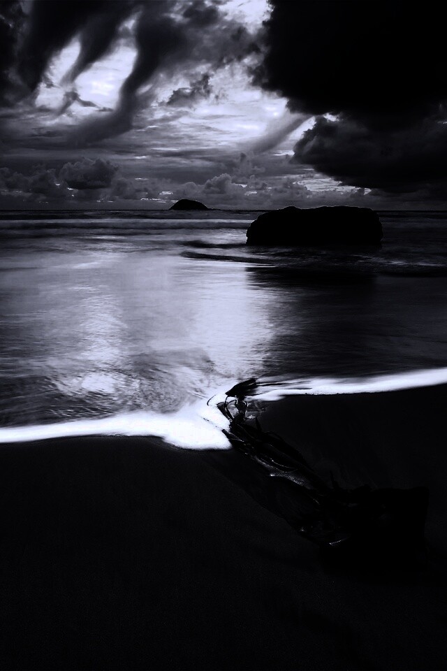 Коряга на пляже обои