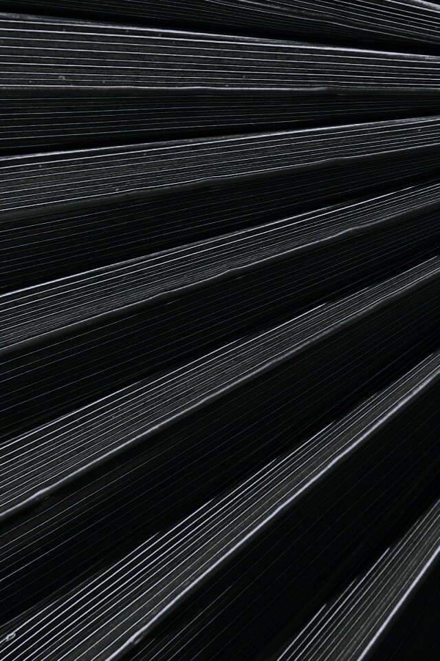 Зеленый пальмовый лист обои