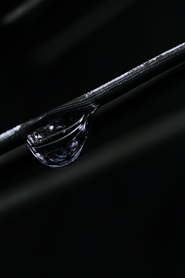 Капелька воды на стебле обои