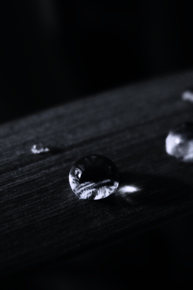 Капли росы на листе обои