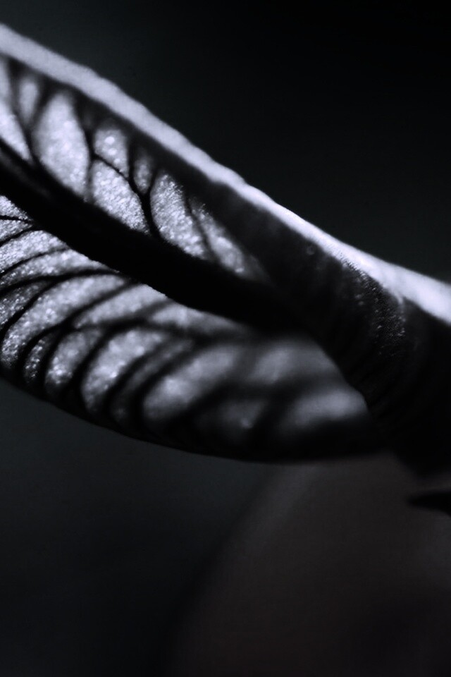 Сетчатый лист обои