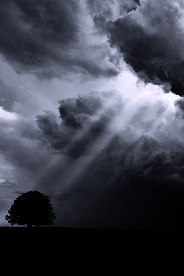 Избранный обои