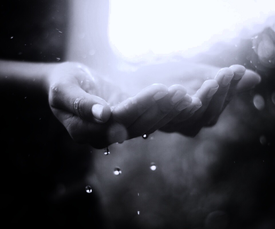 Дождь в ладонях обои