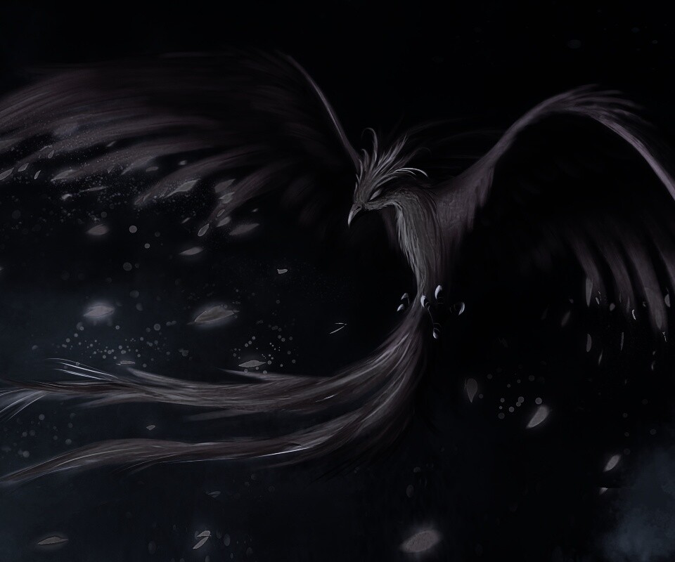 Феникс обои