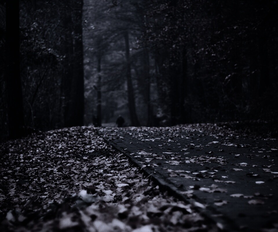 Осенняя дорога обои