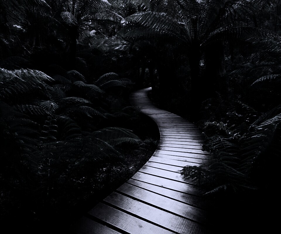 Дорожка в зарослях обои