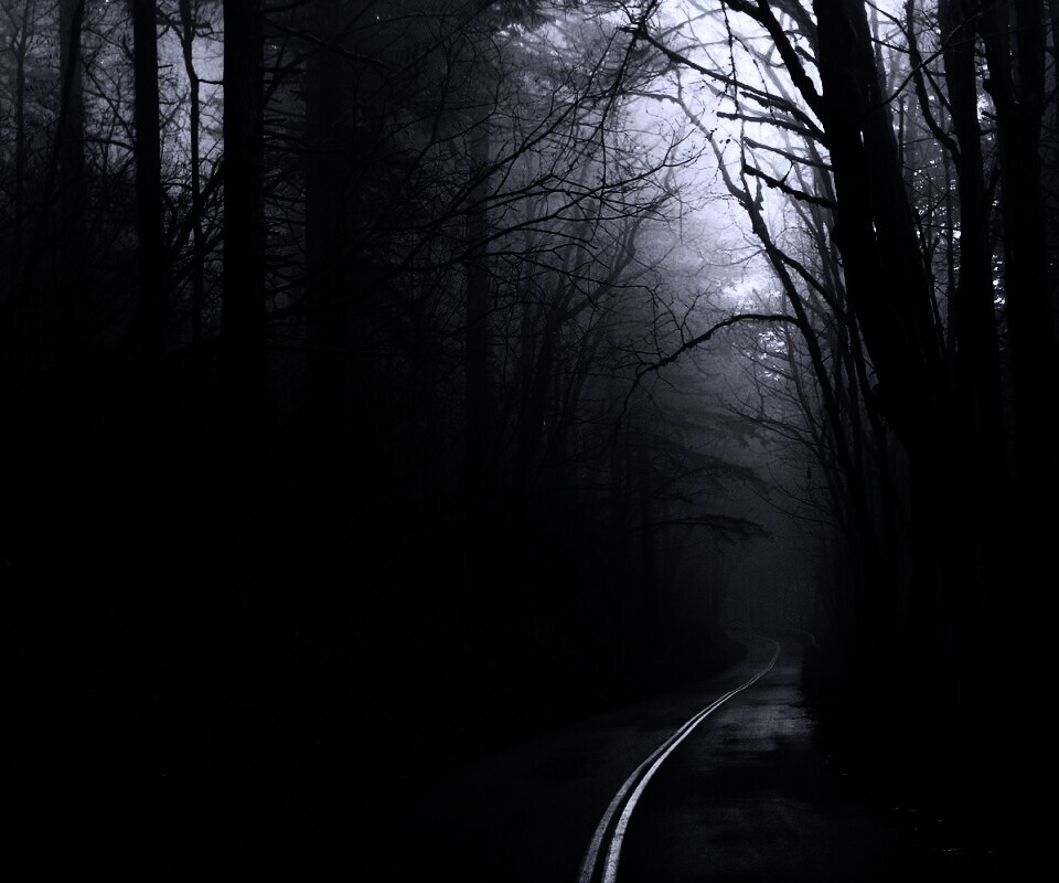 В туман обои