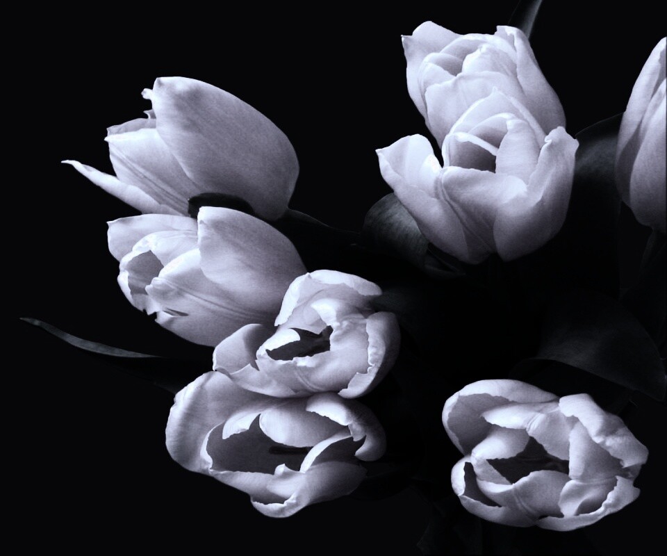 Розовый букет обои