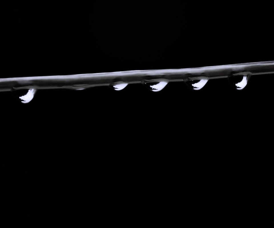 Капли на соломинке обои