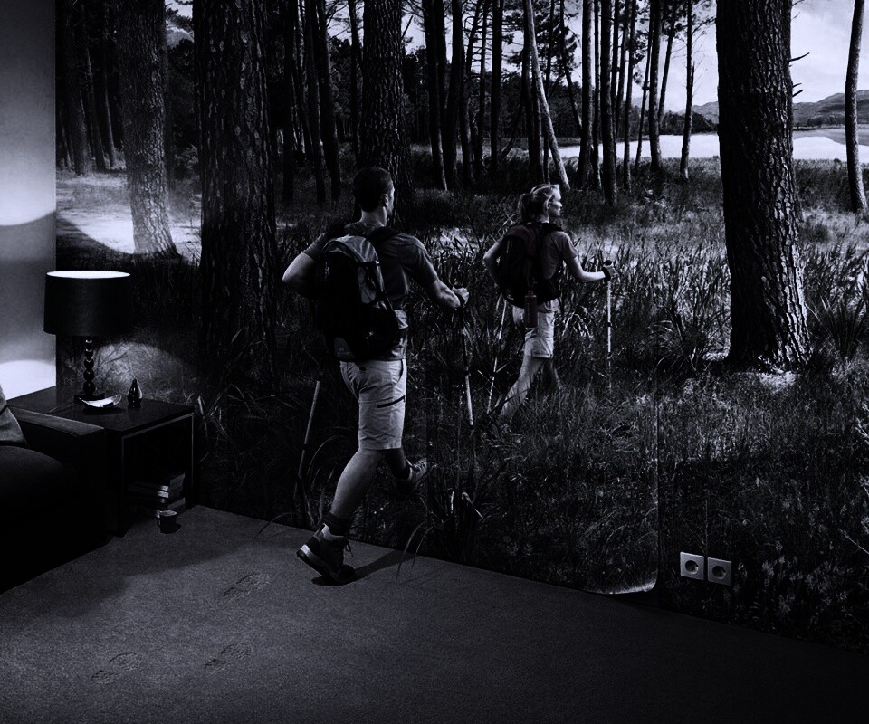 Реклама фотообоев обои