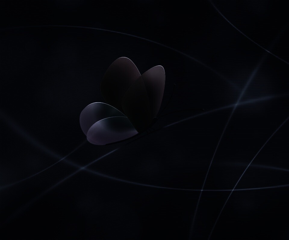 Бабочка с радужными крыльями обои