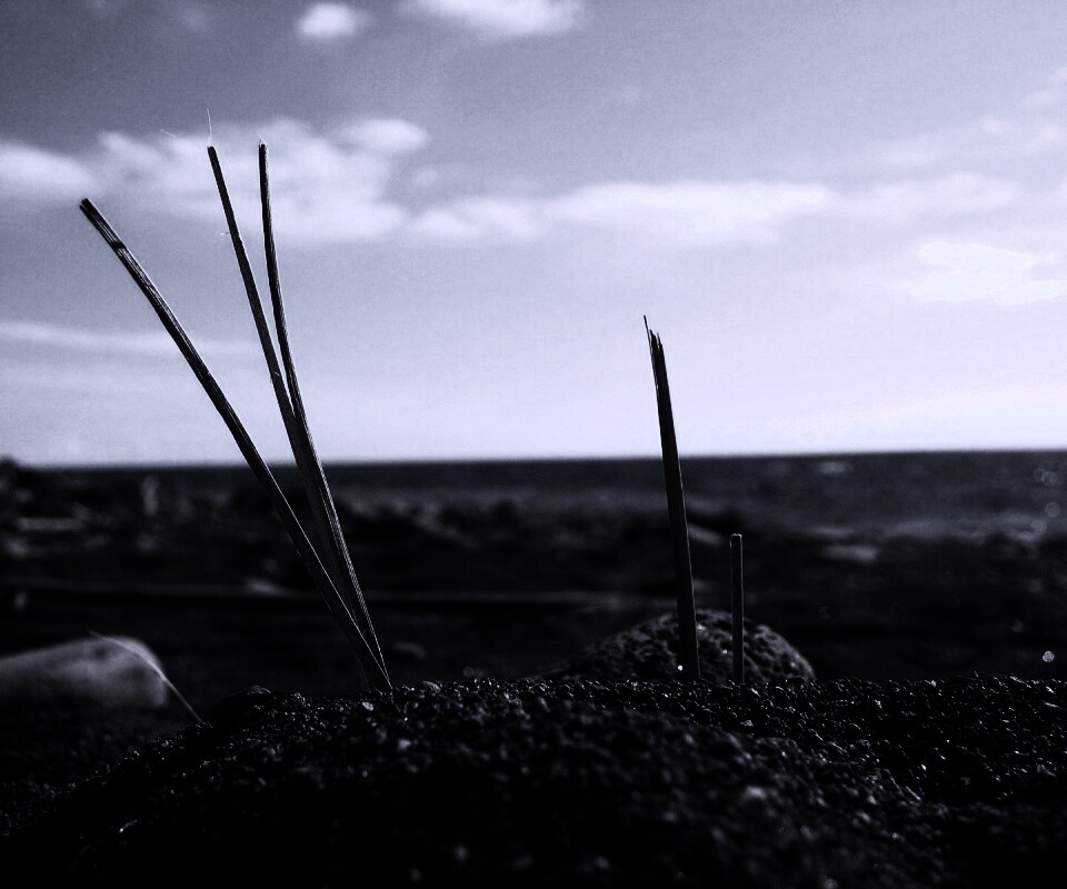 Солома на океанском берегу обои