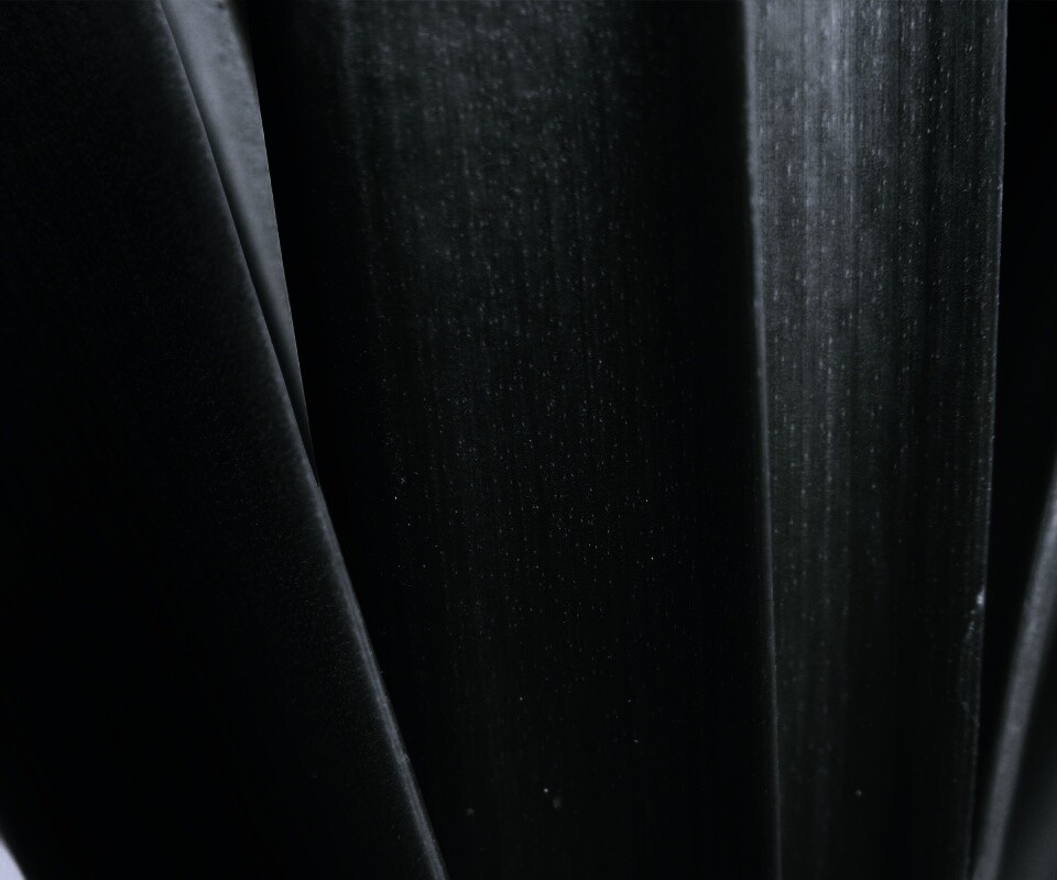 Сочная травинка обои