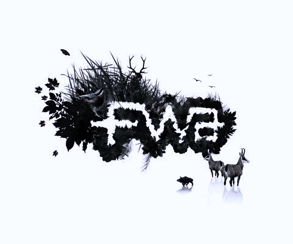 FWA обои
