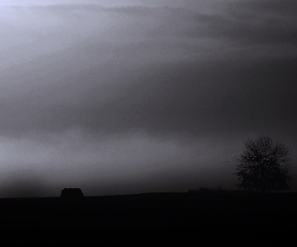 Убранное поле обои