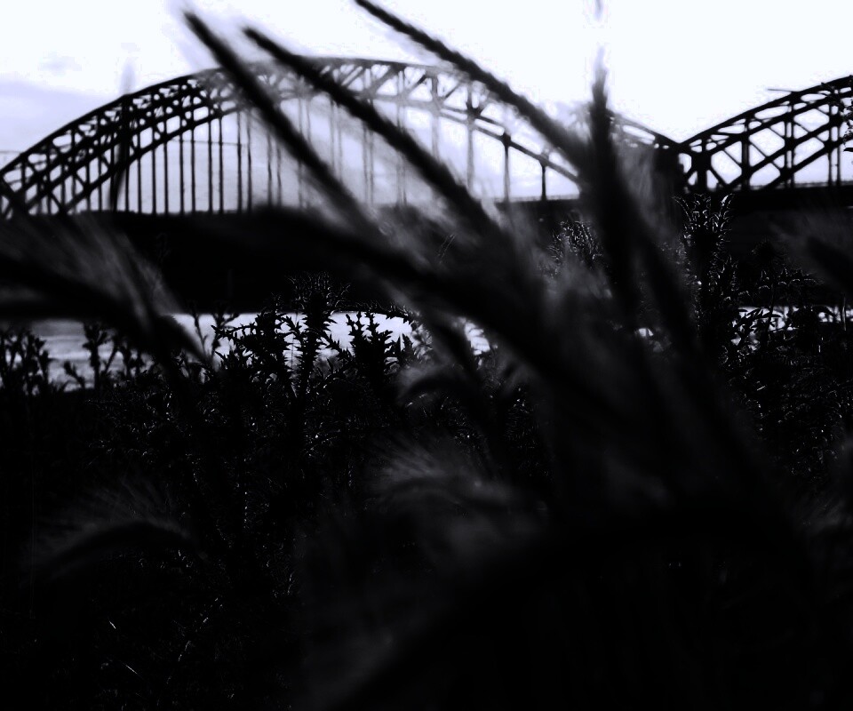 Железнодорожный мост обои