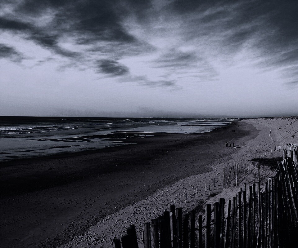 Обмелевший берег обои