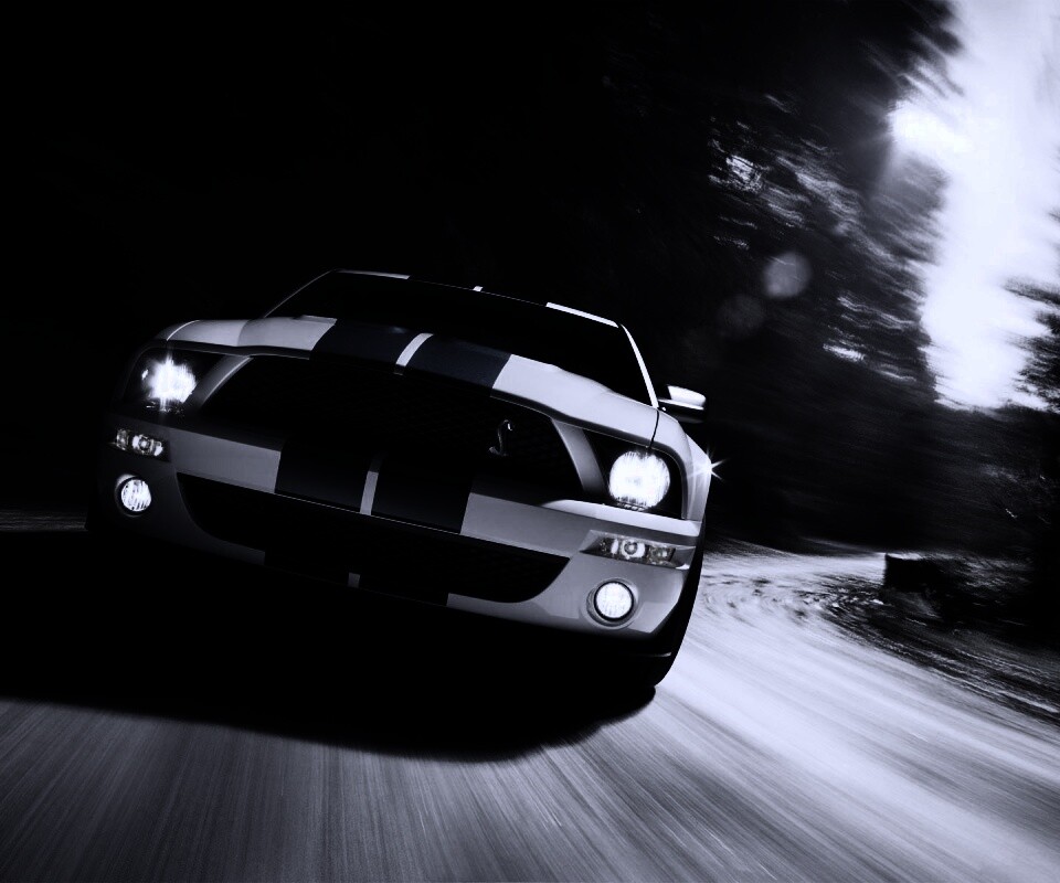 Форд Шелби с синими полосками обои