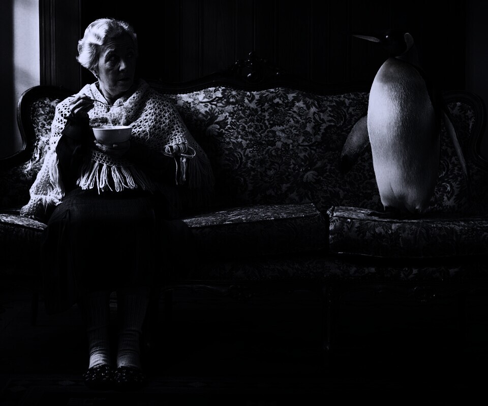 Соседи по дивану обои