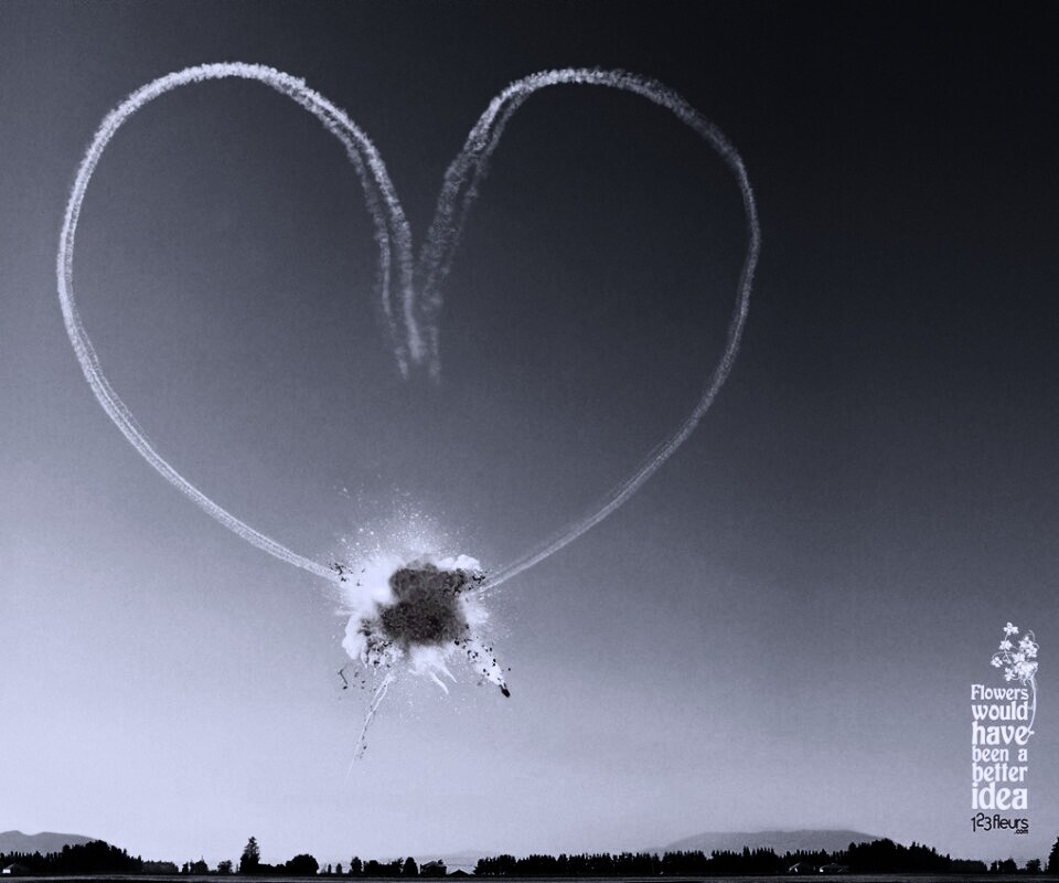 Цветы были бы лучшей идеей обои